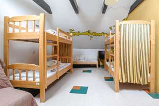 Хостелы Pogo Hostel Вильнюс Кровать в общем 6-местном номере для мужчин и женщин-6